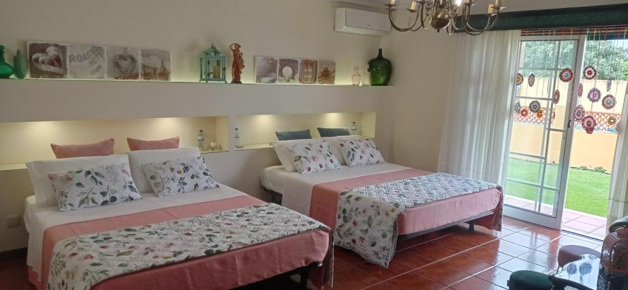 A Casa Da Ti Laura - Al Hotel Aveiro Kültér fotó