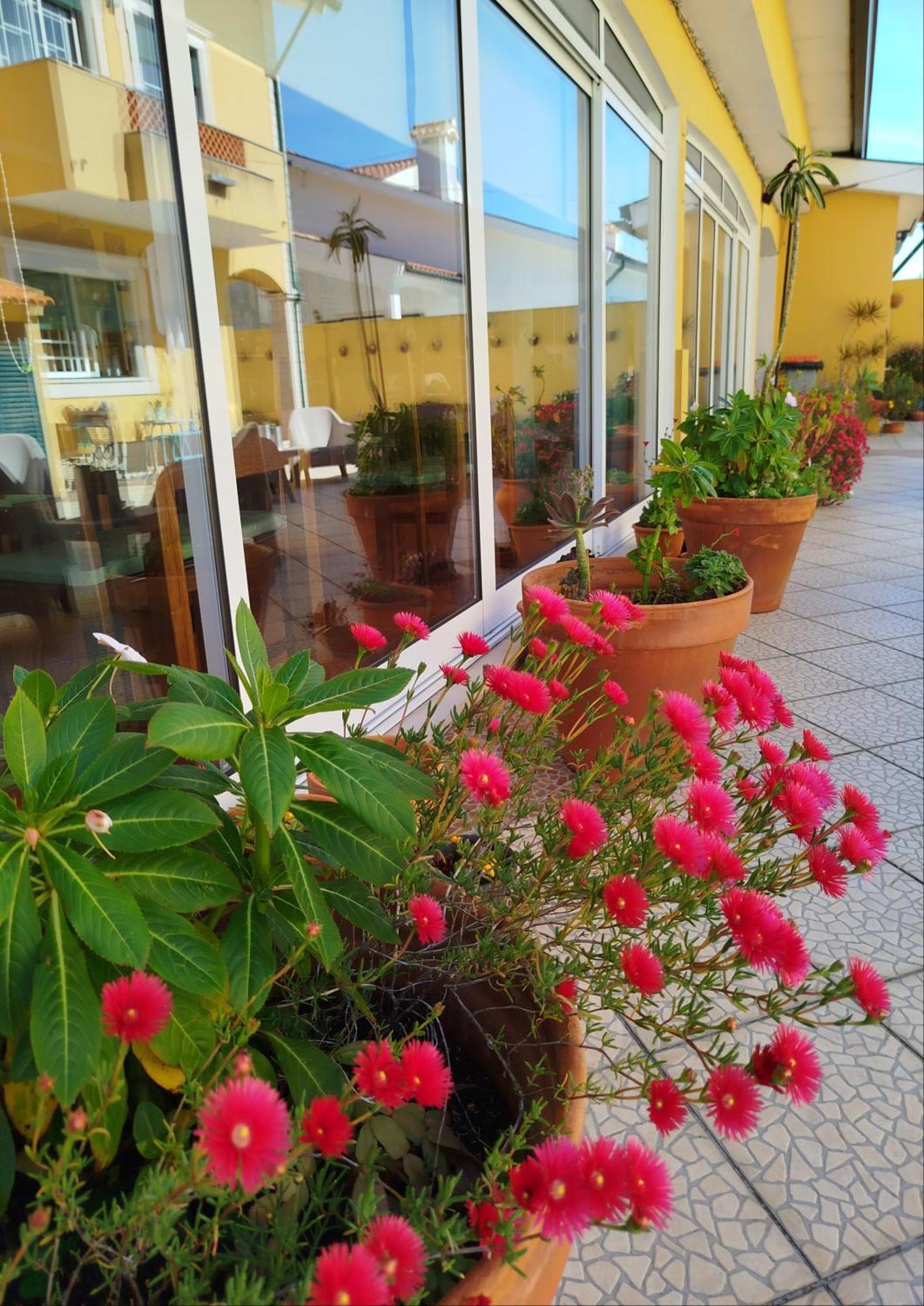A Casa Da Ti Laura - Al Hotel Aveiro Kültér fotó